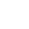 Genie AI